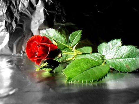 www.tvn.hu_5b6244e7b98dc00d0bed138ba7e3cfab.jpg