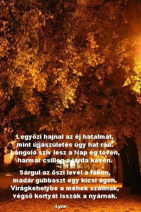 www.tvn.hu_7fe3125f968efd3fa0bf80366b12b763.jpg