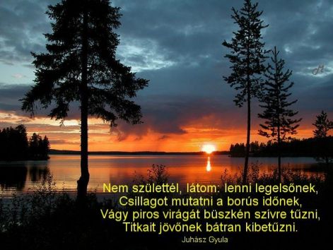 www.tvn.hu_d182b05492f8b6cce7778520b77d5c67.jpg